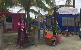 Quinta la Catrina