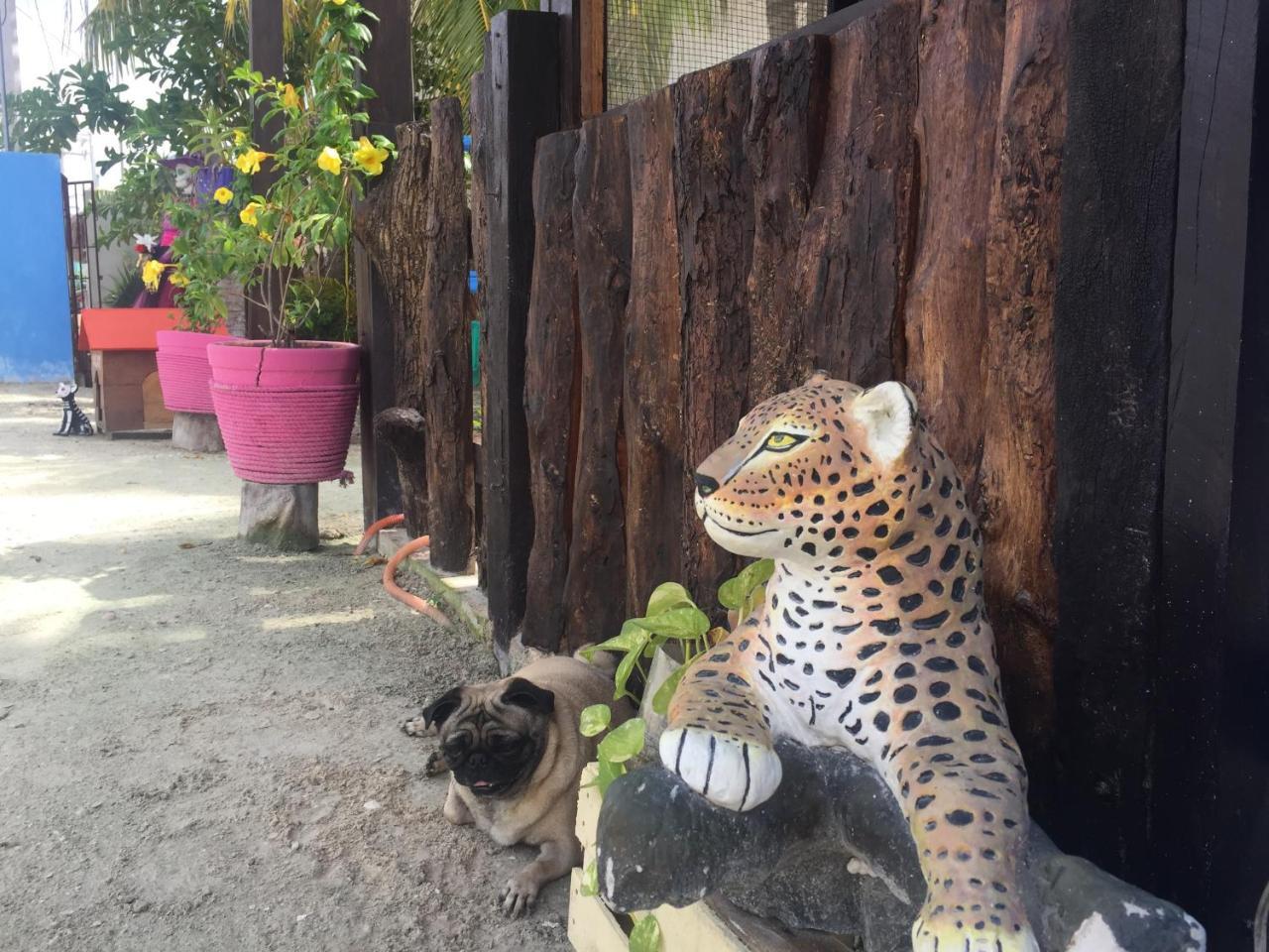 Hotel Hacienda La Catrina Isla Holbox Exterior foto